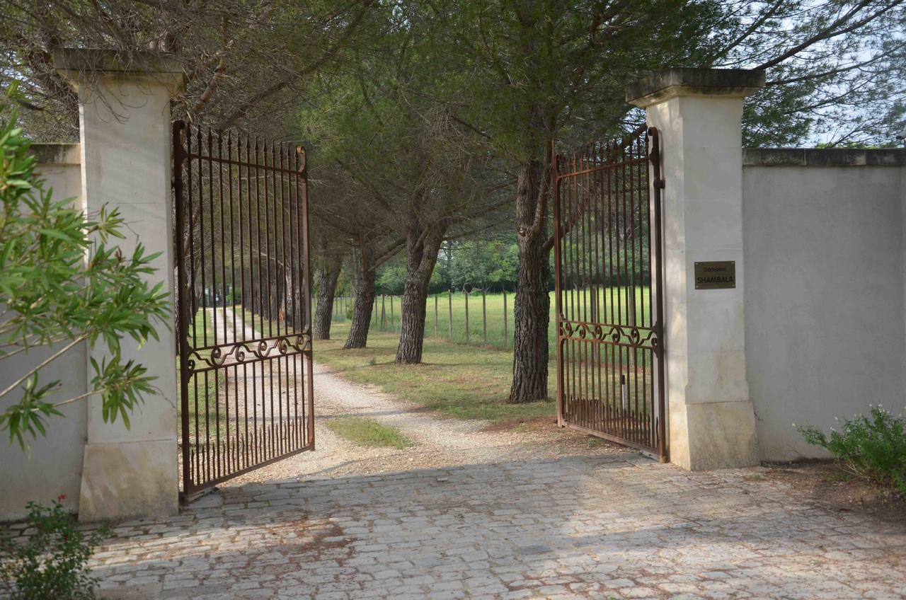 Domaine Shambala - Maison D'Hote En Provence - Piscine Chauffee Velaux 외부 사진