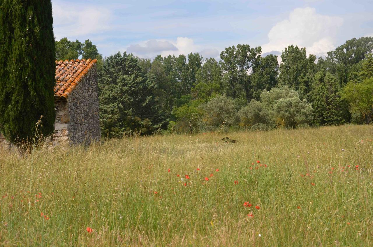 Domaine Shambala - Maison D'Hote En Provence - Piscine Chauffee Velaux 외부 사진